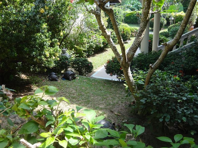 Holiday Village And Natural Garden Resort Phuket Exterior photo